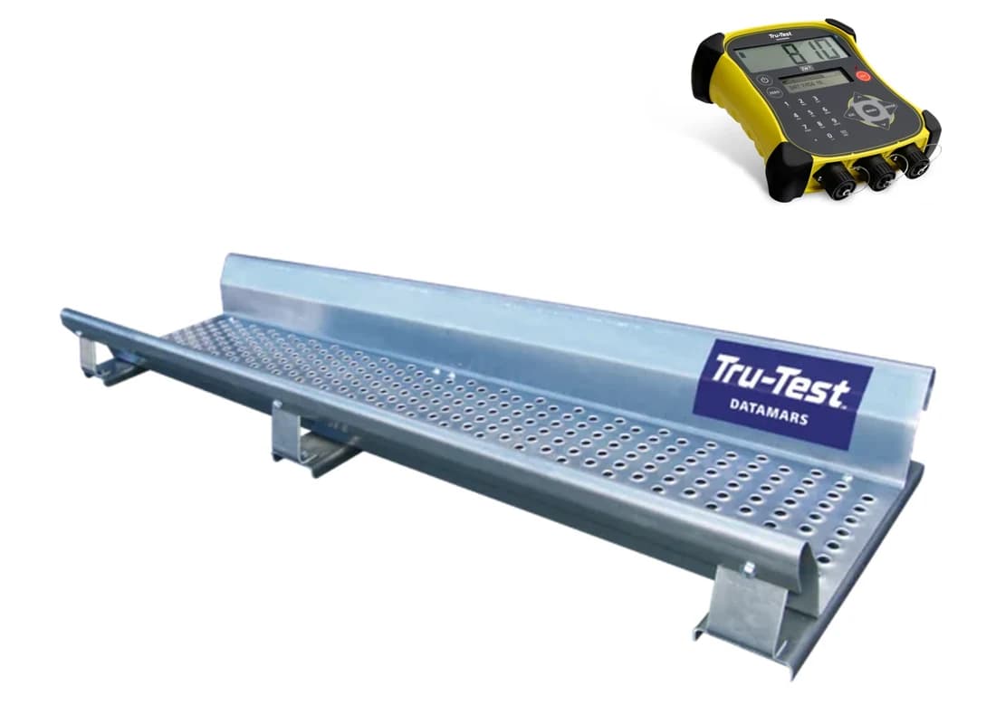 Tru-Test 2000 kg weigh platform with EziWeigh7i module